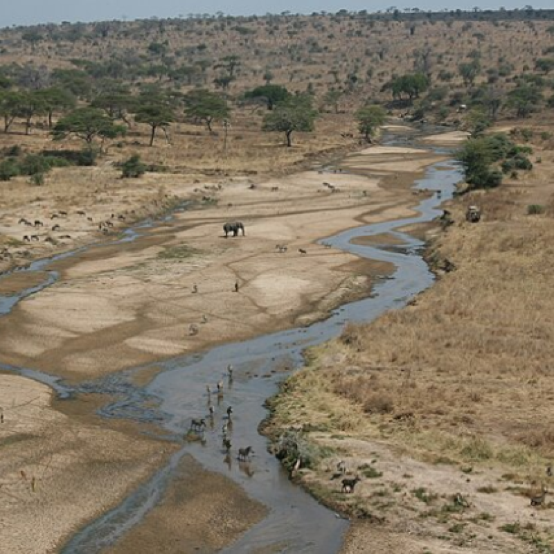 tarangire river