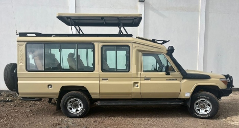 Safari Land Cruiser 4x4 rental Tanzania