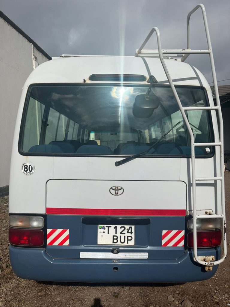 rear shot